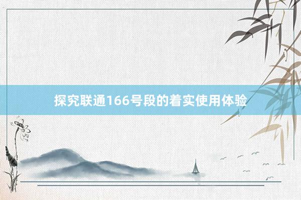 探究联通166号段的着实使用体验