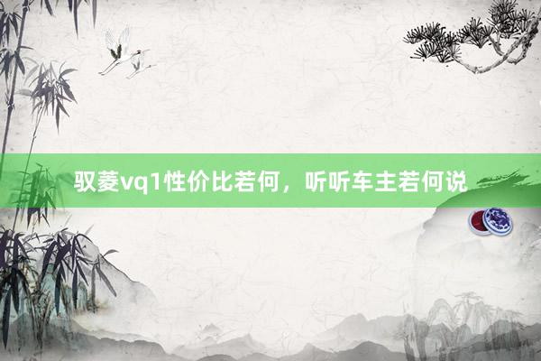 驭菱vq1性价比若何，听听车主若何说